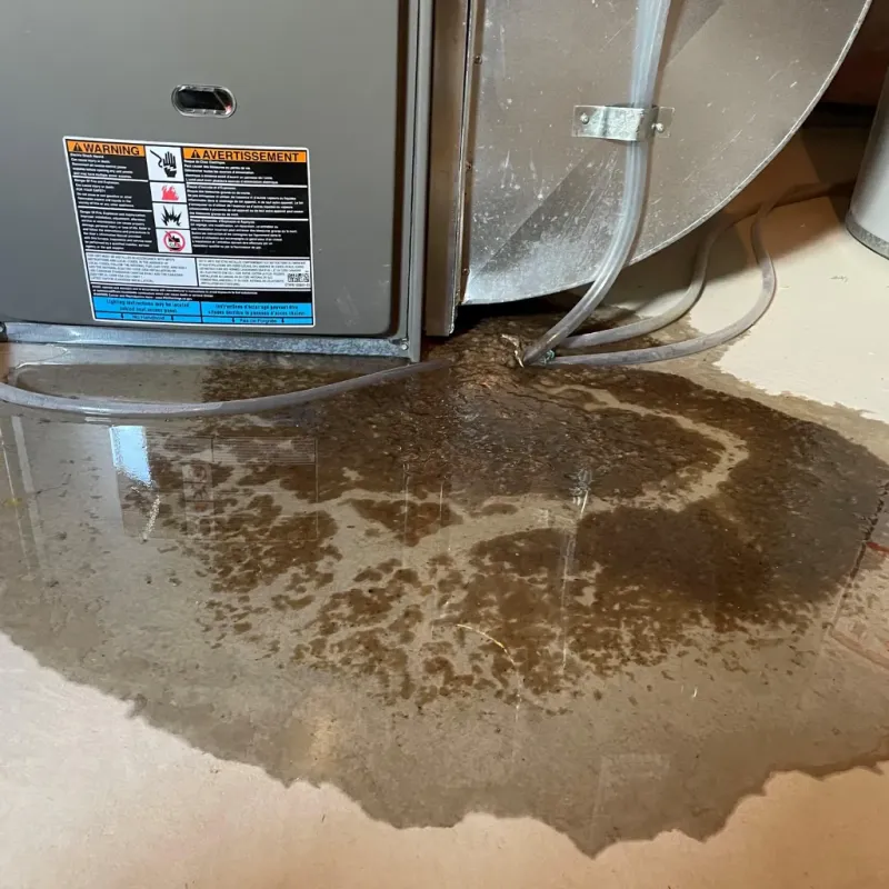 Appliance Leak Cleanup in Gulf Shores, AL